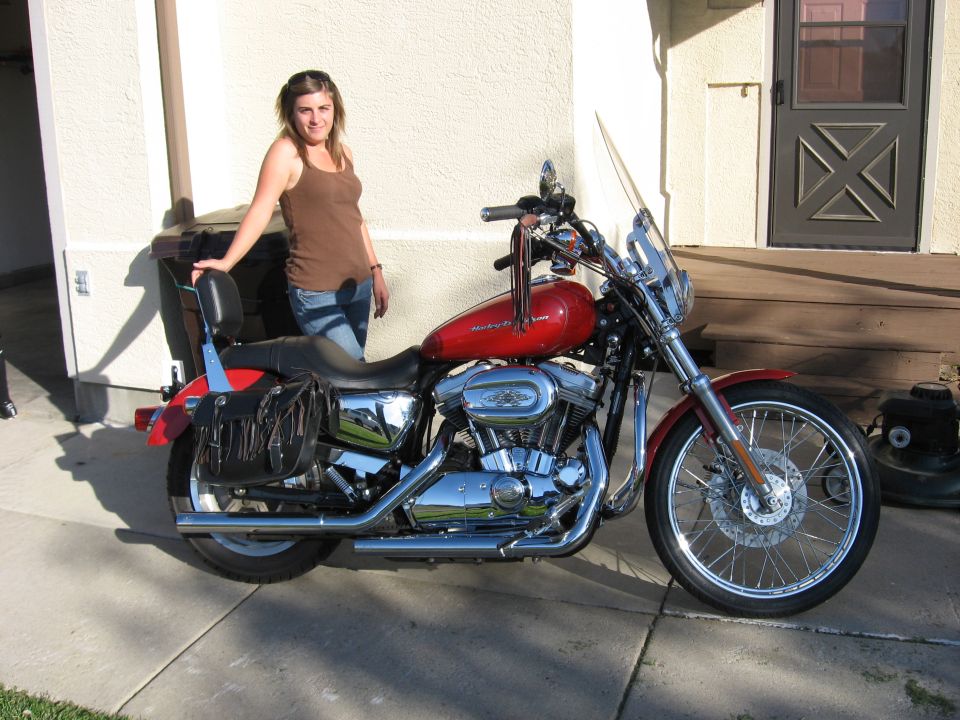 2004 Harley-Davidson Sportster Custom “Sporty”