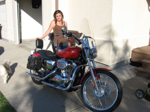 2004 Harley-Davidson Sportster Custom