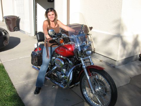 2004 Harley-Davidson Sportster Custom
