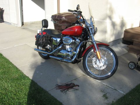 2004 Harley-Davidson Sportster Custom