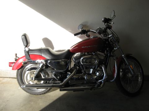 2004 Harley-Davidson Sportster Custom