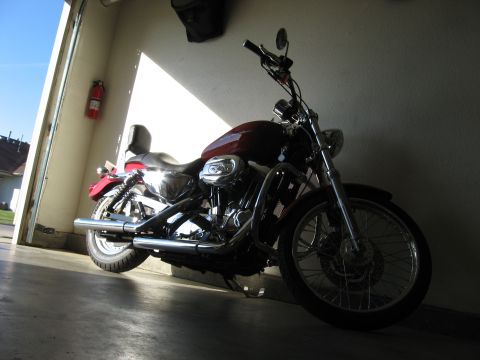 2004 Harley-Davidson Sportster Custom