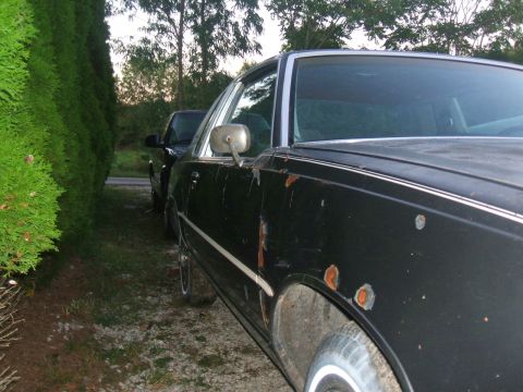 1982 Oldsmobile Cutlass