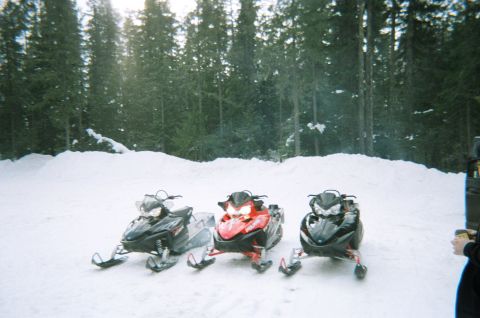 1999 Arctic Cat Powder Special 600 EFI “Pickle”