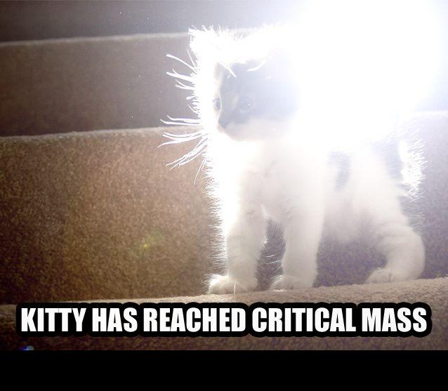 Cat meme image of a glowing kitten on stairs