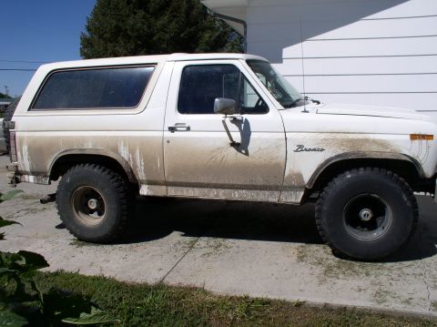 1984 Ford Bronco photo