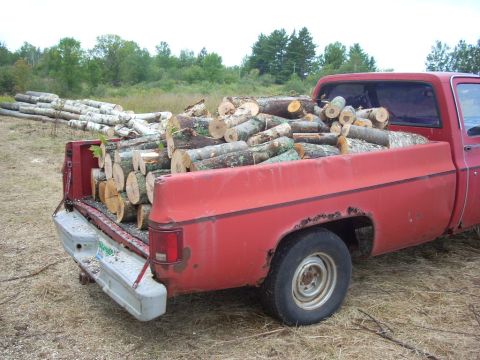 2000 Chevrolet Tahoe - A red pickup truck is filled with cut logs, ready for transport or use.
