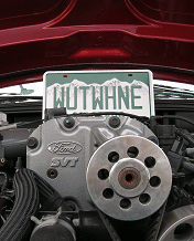 1979 Ford Bronco - Close-up of an engine bay, focusing on the license plate and mechanical components.