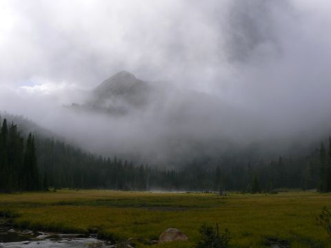 2006 Ford E350 - A misty mountain scene with a dense forest and a wide, grassy meadow.