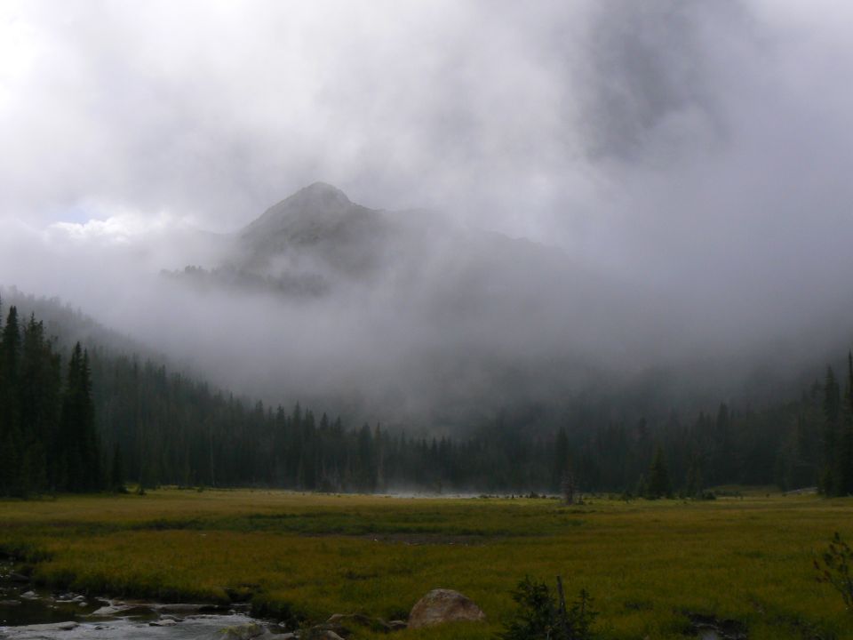 Foggy mountain peak looms over a pine forest and grassy field with a stream in the foreground
