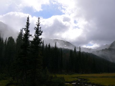 2006 Ford E350 - Misty mountains rise above a dense pine forest, with a cloudy sky overhead.