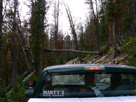 2006 Ford E350 - A view from inside a green pickup truck shows the rear window with a 'Marty's Car Audio' sticker, set against a backdrop of a wooded, mount…