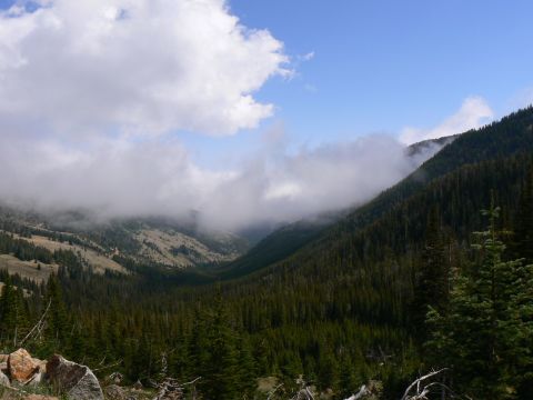 2006 Ford E350 - A scenic view of a mountain valley shrouded in clouds, with dense pine forests on the slopes.