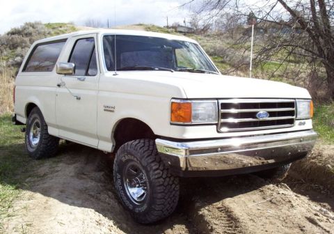 1990 Ford Bronco - Yeah, I'm gonna need new bushings once a year the way I drive.