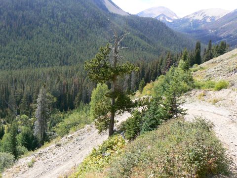 2006 Ford E350 - A scenic view of a mountain pass with dense evergreen forests and a rough dirt road.
