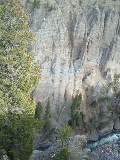 2006 Ford E350 - A scenic view of a river flowing through a rocky canyon, with pine trees in the foreground.