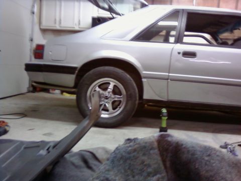 1986 Ford Mustang - How much higher my rear end sits after I stripped everything out.
