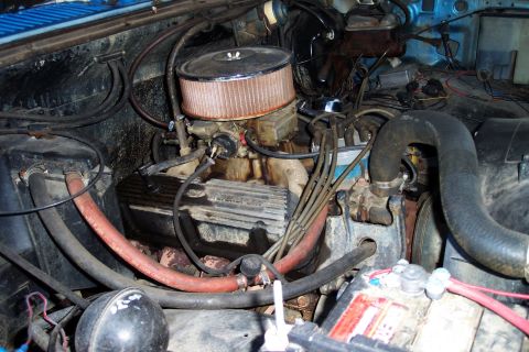 1983 Ford Bronco - As she was 2