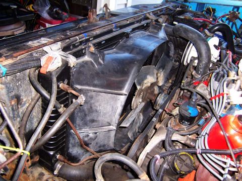 1983 Ford Bronco - As she was 7