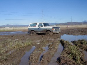 Blue and white Ford Bronco stuck in deep mud ruts in an open field