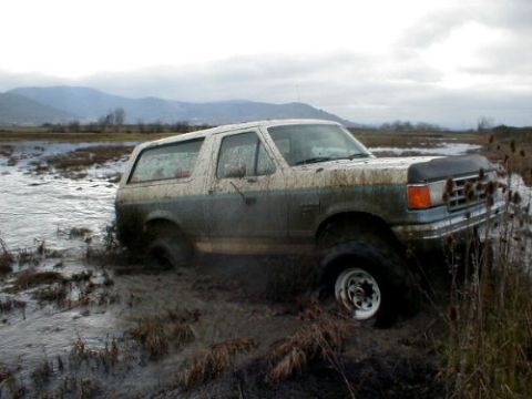 1988 Ford Bronco - A two-tone Ford Bronco is stuck in a muddy field with water and reeds.