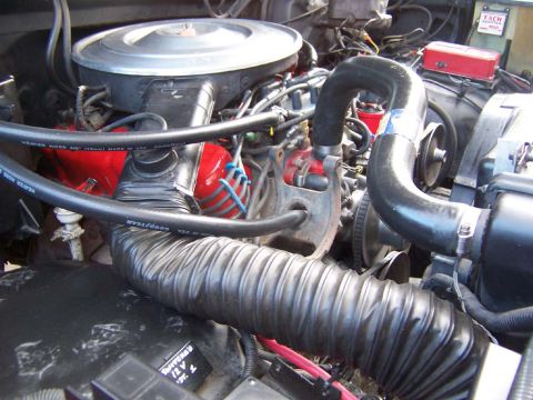 1983 Ford Bronco - Engine right side view