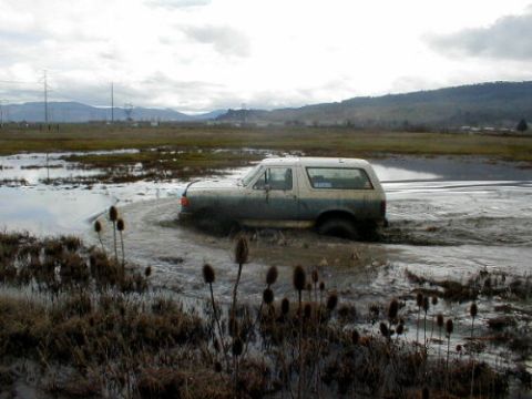 1988 Ford Bronco - testing the water depth with the 39.5's