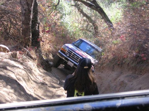 1989 Ford Bronco - A maroon 1992 Ford Bronco navigates a steep, wooded dirt path.