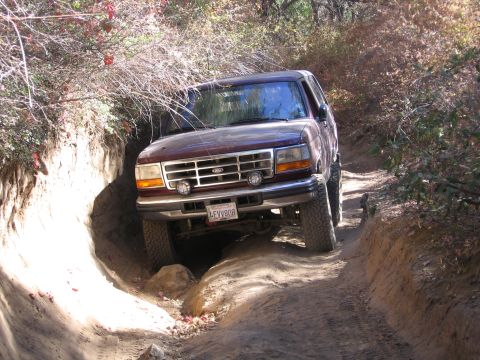 1989 Ford Bronco - This Ford Bronco is off-roading on a challenging dirt path surrounded by trees and brush.