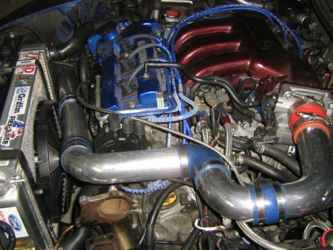 1995 Ford Probe - Customized engine bay a prominent intake manifold and various aftermarket components.
