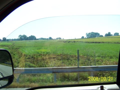 2003 Ford Excursion - Beautiful views