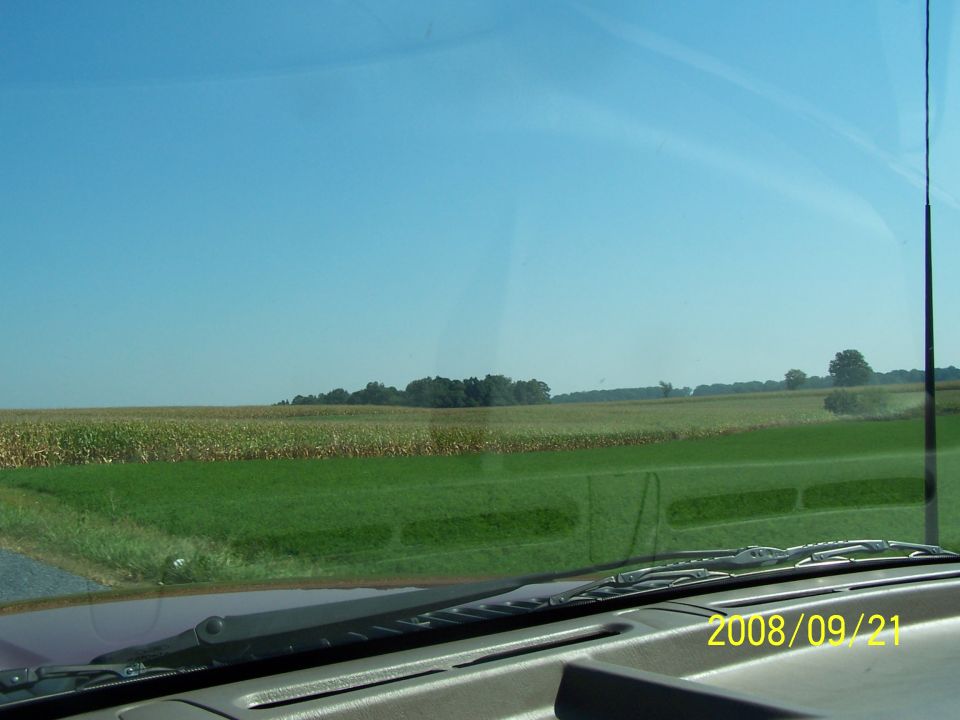 Beautiful Views