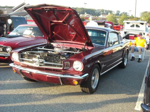 1979 Ford F-150 - Red 1970 Ford Mustang at a car show, hood open, revealing engine bay.
