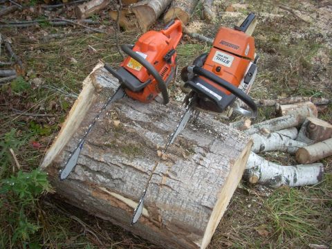 2000 Chevrolet Tahoe - Two chainsaws are actively cutting through a large log, surrounded by cut wood and foliage.