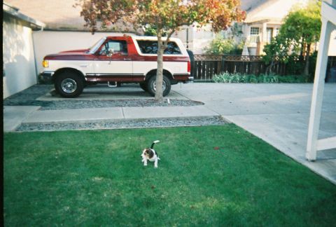 1991 Ford Bronco - This two-tone red and white 1991 Ford Bronco is parked in a driveway next to a house.
