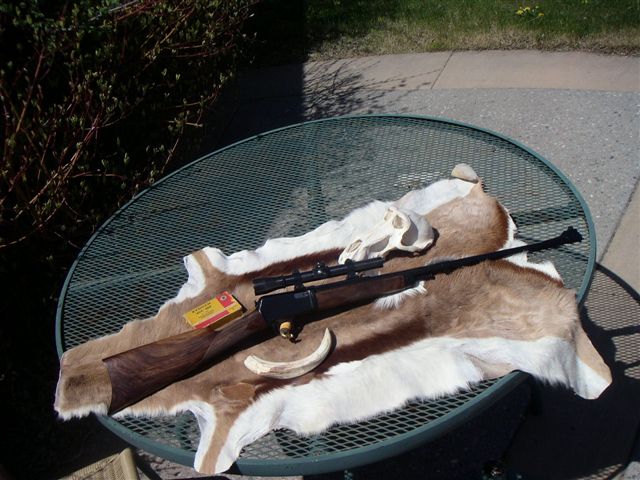 Rifle with scope, skull, and animal hide on a table