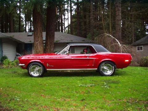 1974 Ford Ranchero - Side view of a red coupe with a black vinyl top parked on a grassy lawn.