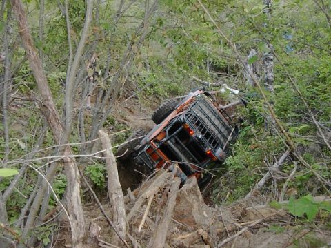 1988 Ford Bronco - An orange 1988 Ford Bronco is seen tipped on its side amidst trees and debris.