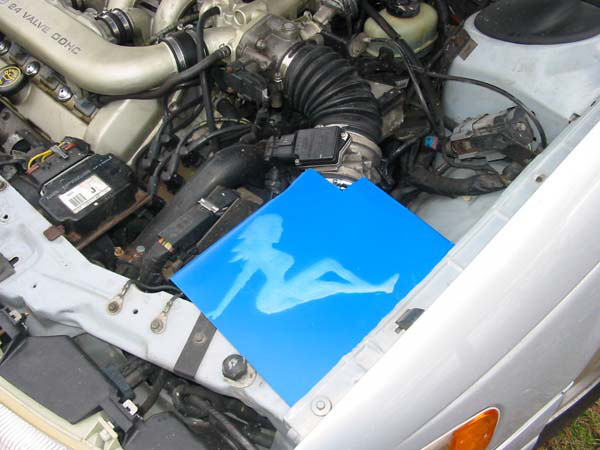 Engine bay with 24 Valve DOHC cover, intake tubing, and a blue panel with white silhouette graphic
