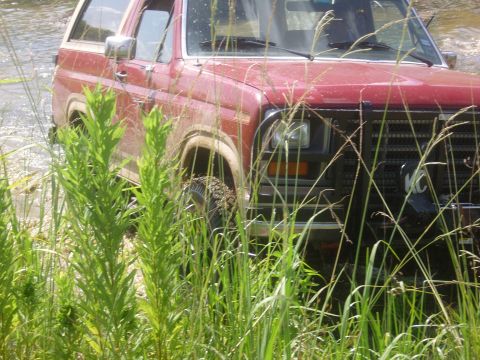 1986 Ford Bronco photo