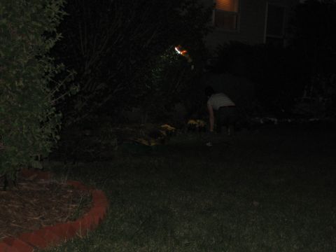 1995 Ford Bronco - A person is in a yard at night, possibly tending to plants or looking for something.