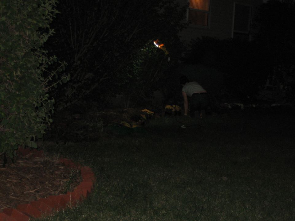 Person bending over in a dark yard at night, illuminated by a light source