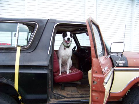 1979 Ford Bronco - Flex is ready for a ride
