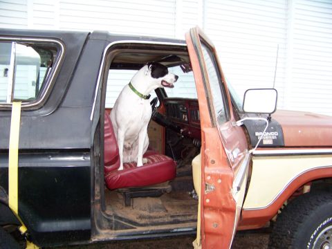 1979 Ford Bronco - "where we goin?"