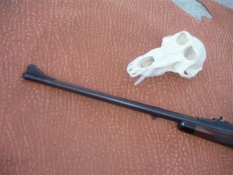 1991 Ford Bronco - A close-up view of a rifle barrel and a small animal skull are displayed on a textured background.