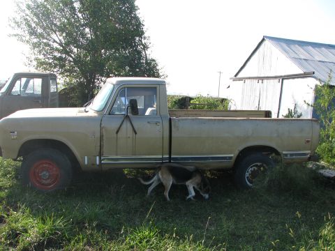 1971 International Travelall - A 1971 International Travelall pickup truck is parked outdoors next to a barn with another truck in the background.