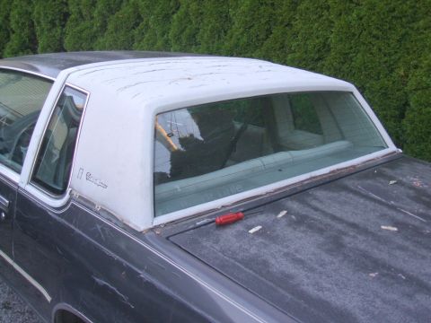 1982 Oldsmobile Cutlass - The rear quarter panel and white vinyl top of a 1982 Oldsmobile Cutlass are visible in this side view.