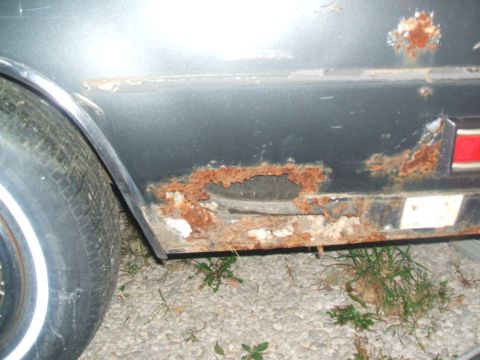 1982 Oldsmobile Cutlass - This 1982 Oldsmobile Cutlass shows significant rust damage on its rear side panel.
