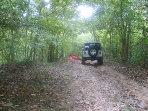 1994 Ford Bronco - Two Jeeps navigate a muddy trail surrounded by dense trees, with one vehicle in the foreground and another further down the path.