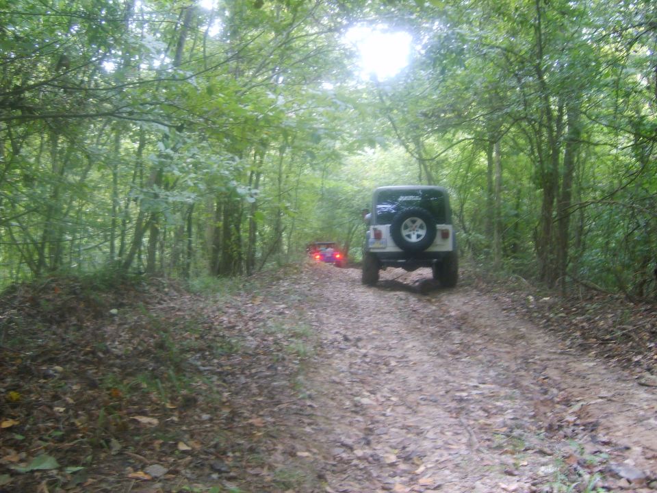 White Jeep Wrangler with spare tire on rear, driving on dirt road through forest